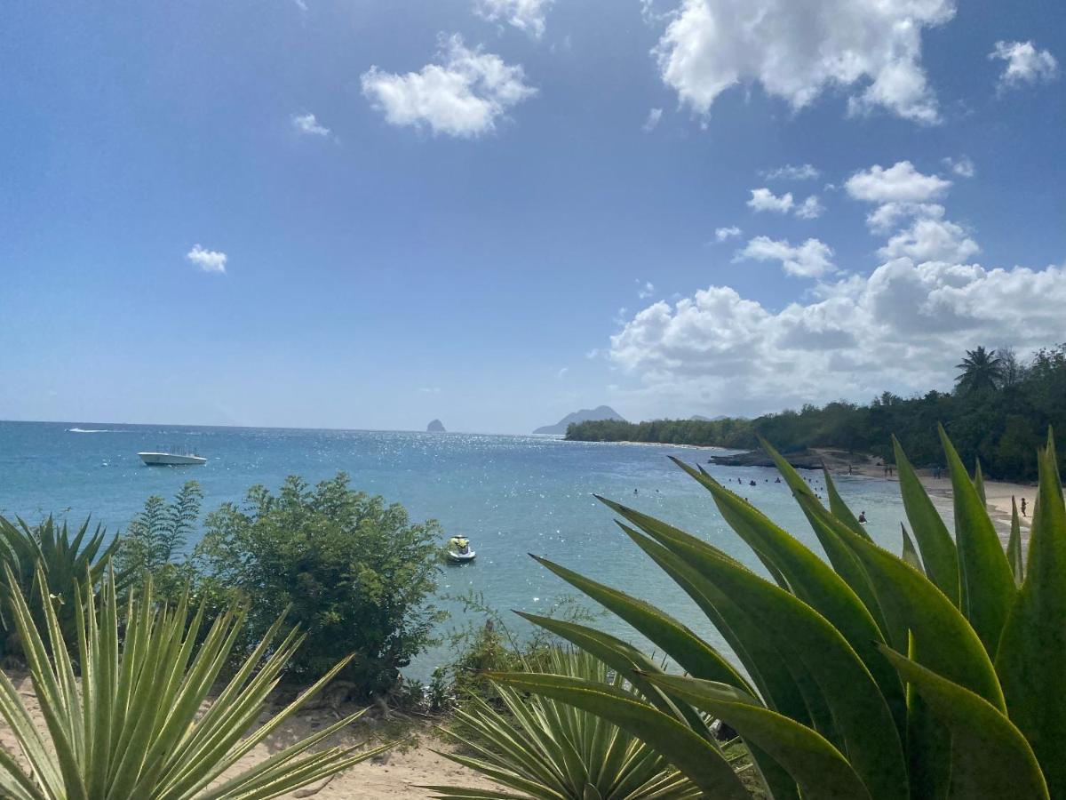 Studio Rdc La Desirade Martinique Acces Direct Plage Sainte-Luce Ngoại thất bức ảnh