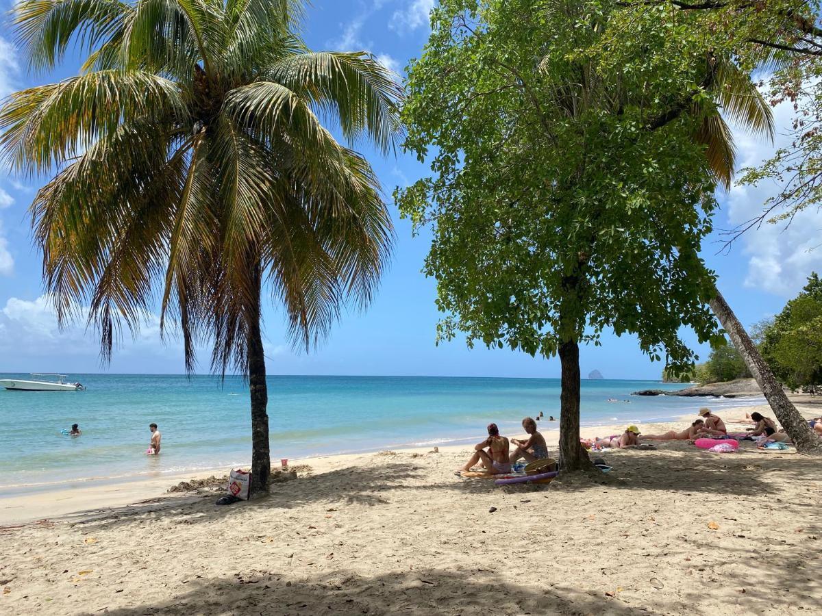 Studio Rdc La Desirade Martinique Acces Direct Plage Sainte-Luce Ngoại thất bức ảnh