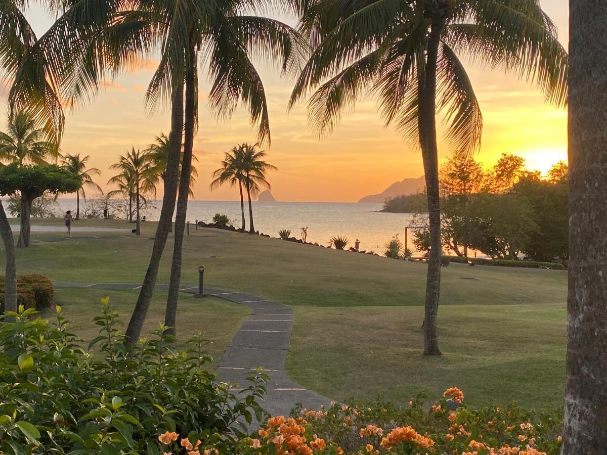 Studio Rdc La Desirade Martinique Acces Direct Plage Sainte-Luce Ngoại thất bức ảnh